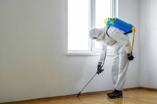 Best Pest Prevention Services  in Point Lookout, NY