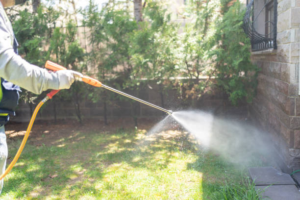 Best Wasp Removal Services  in Point Lookout, NY